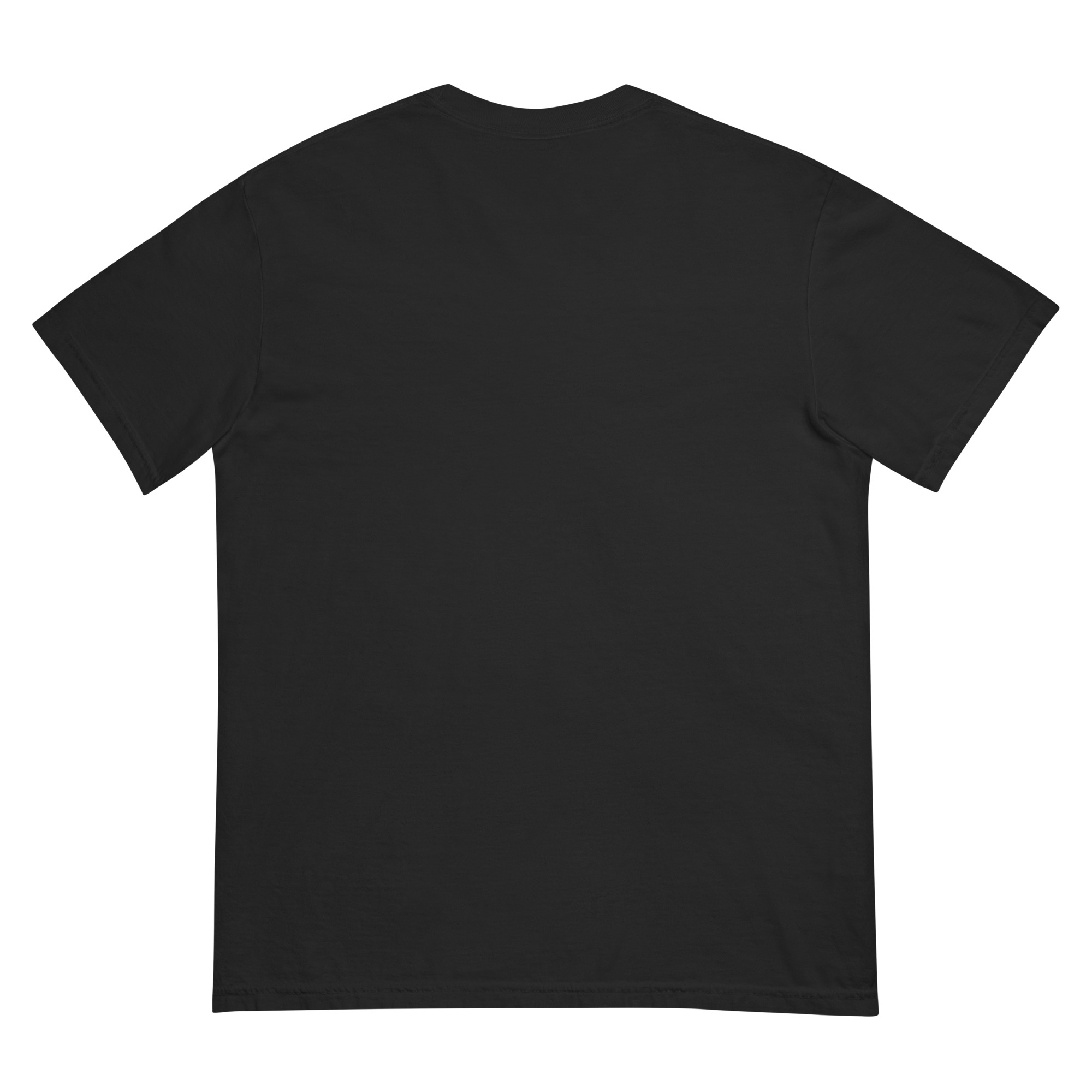 Misenthalia Dragon Born dyed heavyweight t-shirt - Image 3