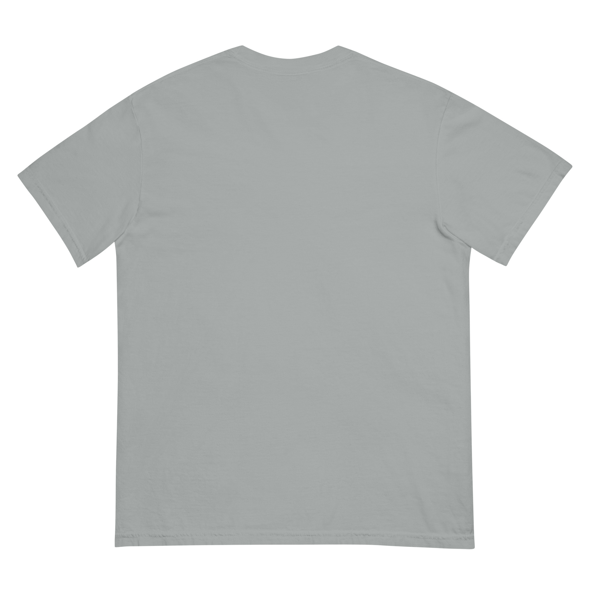 Misenthalia Dragon Born dyed heavyweight t-shirt - Image 13