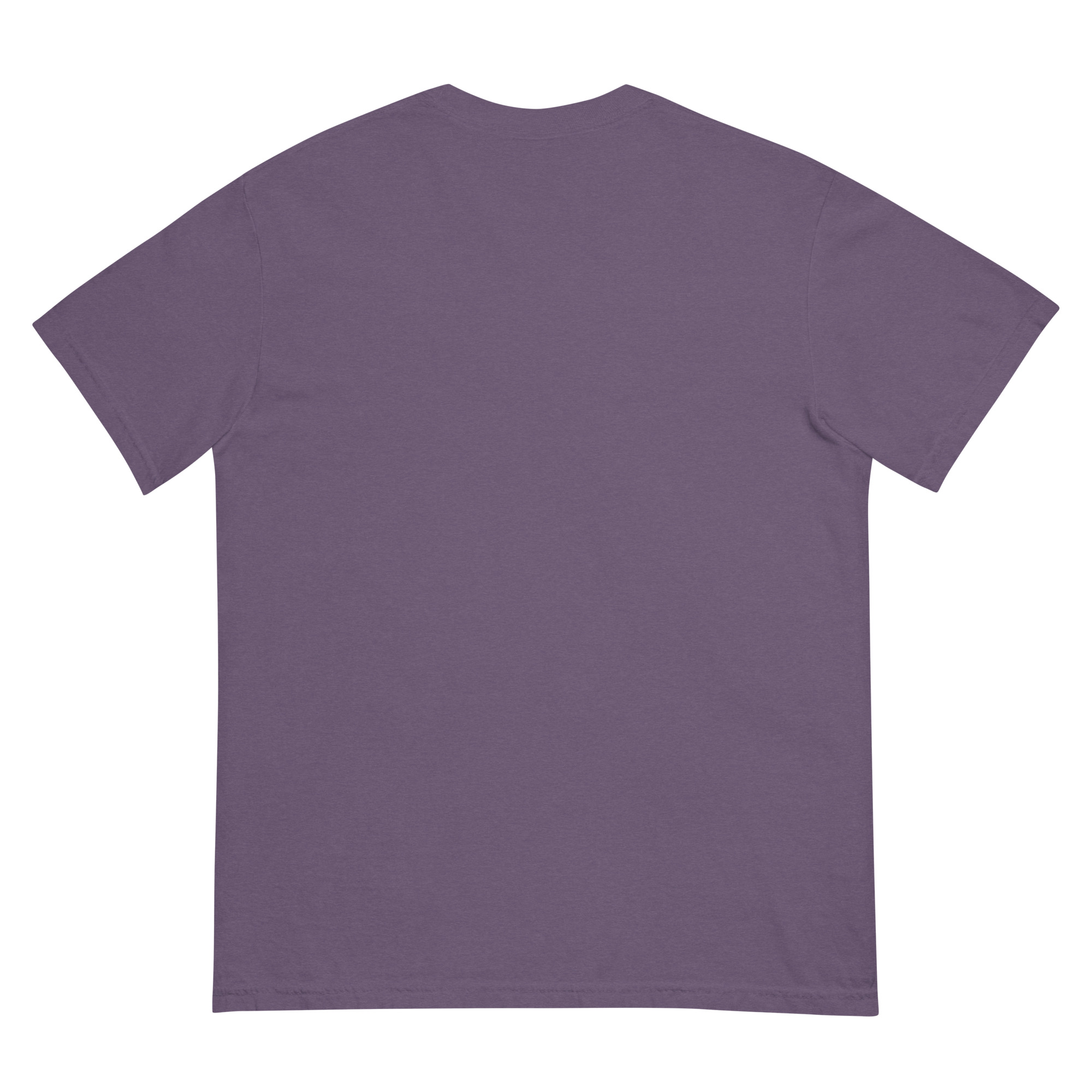 Misenthalia Dragon Born dyed heavyweight t-shirt - Image 9