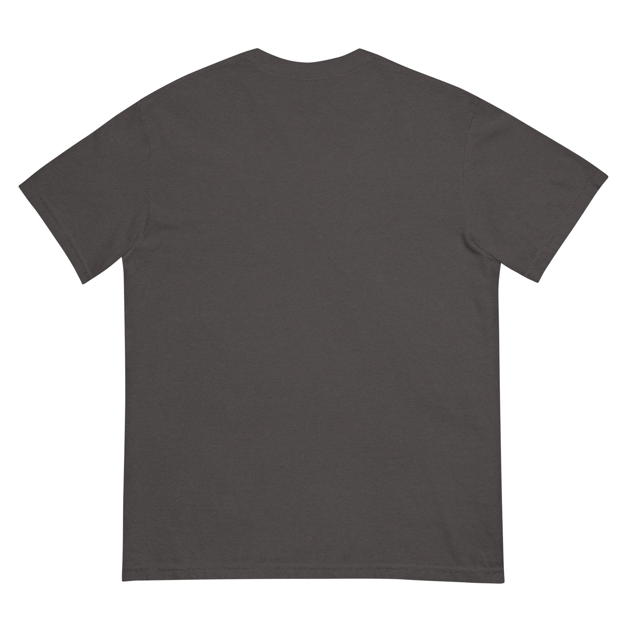 Misenthalia Dragon Born dyed heavyweight t-shirt - Image 5