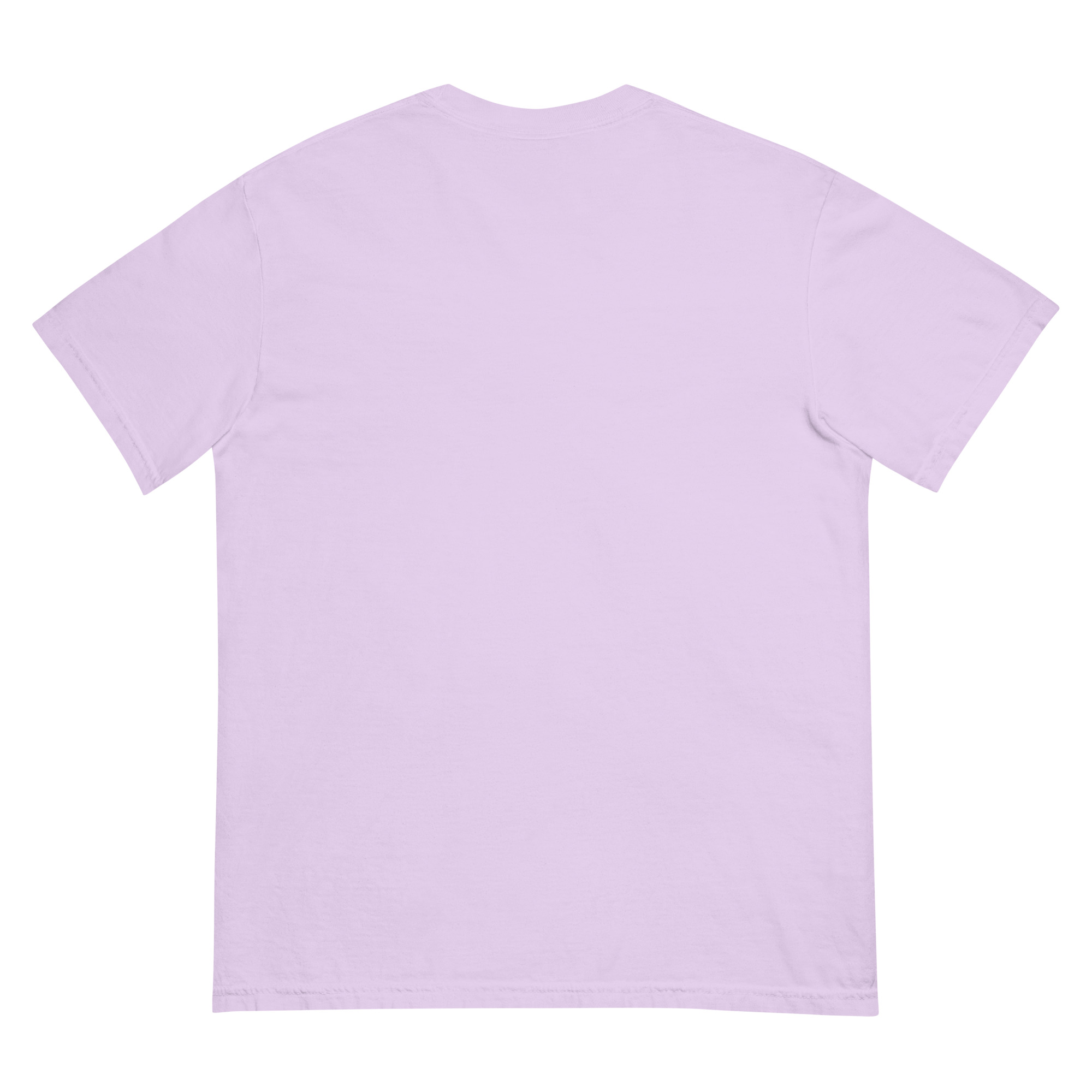 Misenthalia Dragon Born dyed heavyweight t-shirt - Image 15