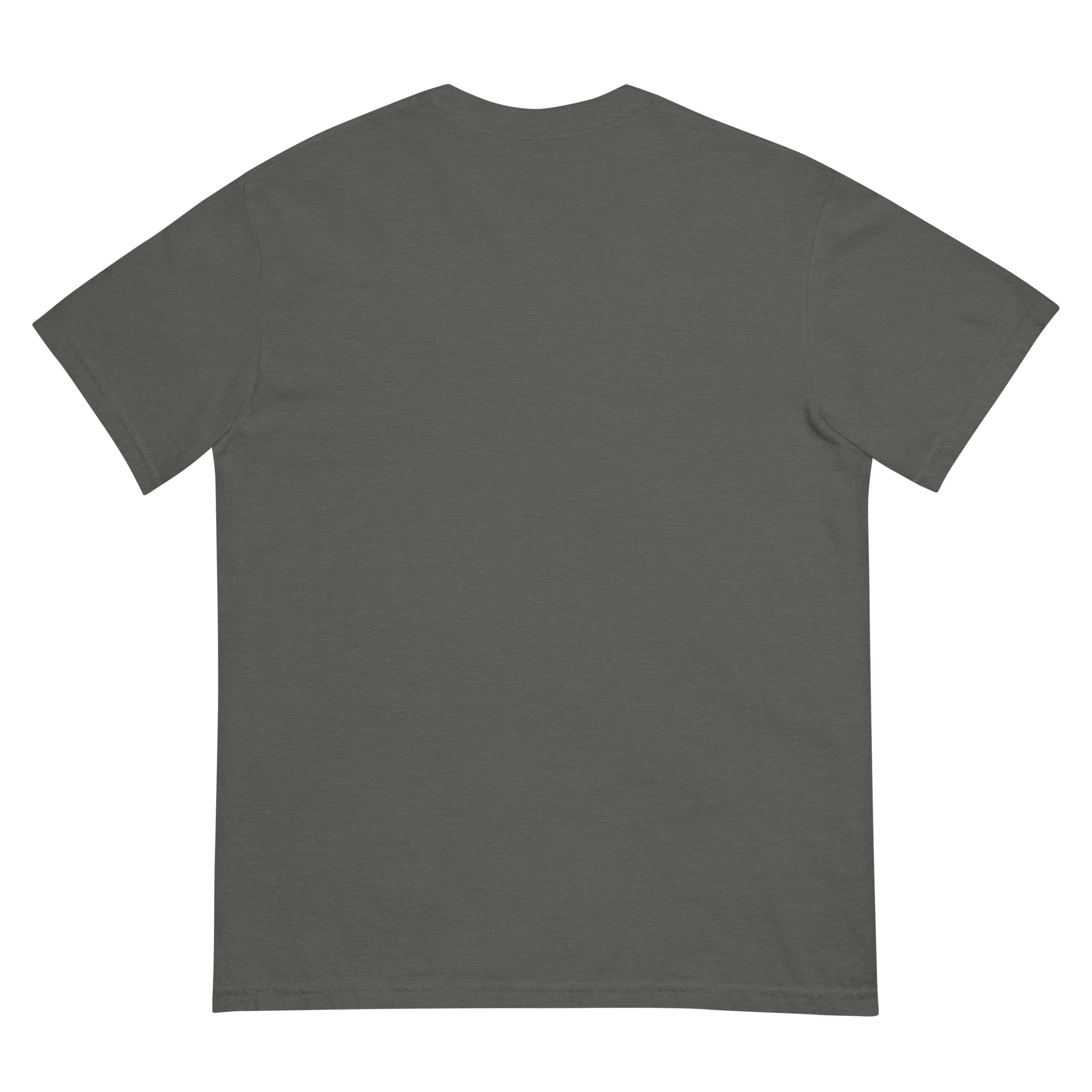 Misenthalia Dragon Born dyed heavyweight t-shirt - Image 7