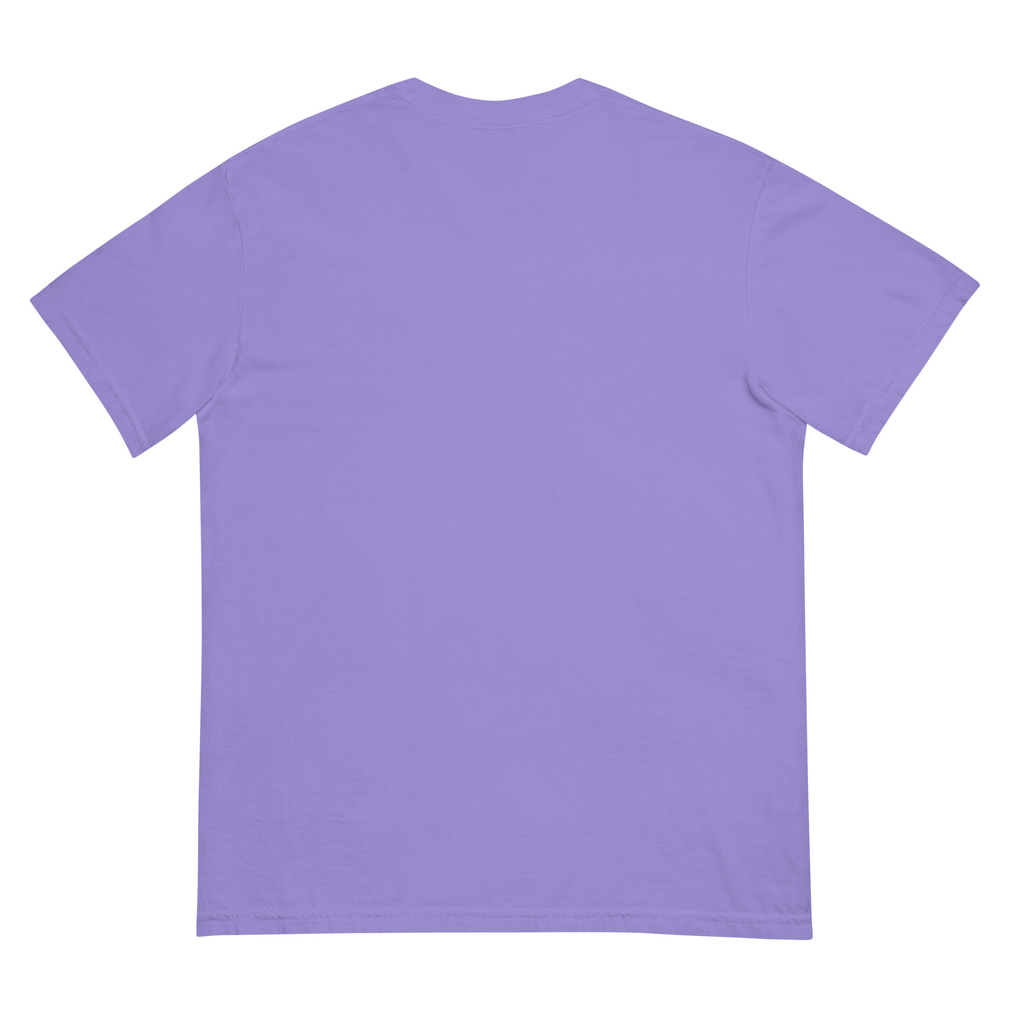 Misenthalia Dragon Born dyed heavyweight t-shirt - Image 11